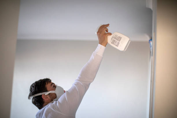 Best Water Damage Restoration  in Monfort Heights, OH