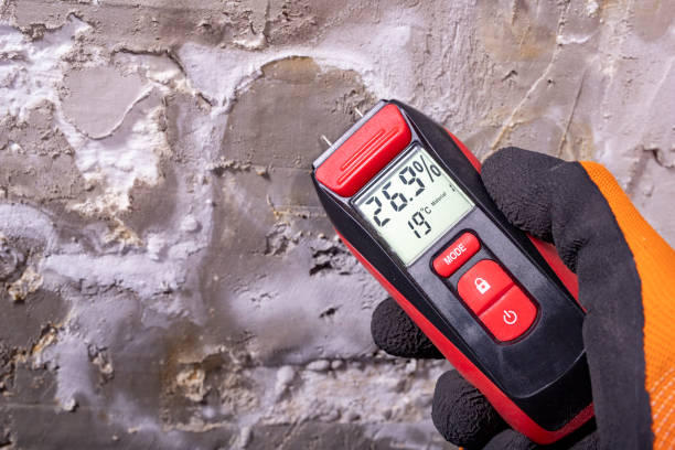 Best Mold Damage Repair  in Monfort Heights, OH