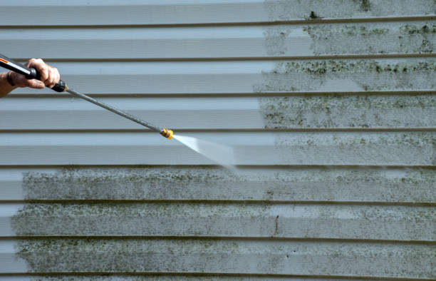 Best Affordable Mold Removal  in Monfort Heights, OH