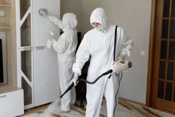 Best Attic Mold Removal  in Monfort Heights, OH