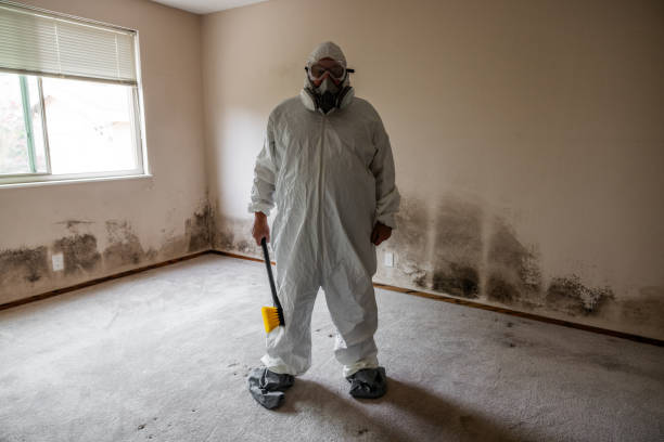 Best Commercial Mold Removal  in Monfort Heights, OH
